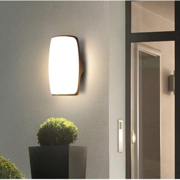 Wall Light